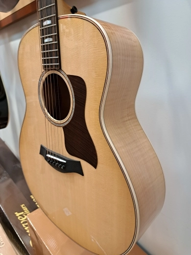 Taylor Guitars - 618E 3